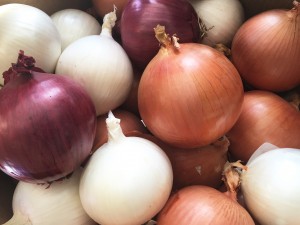 Murakami Storage Onions - Week of February 22, 2016. Photo Courtesy of Murakami Produce Co. LLC