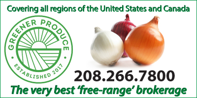 Onion Directory 2024