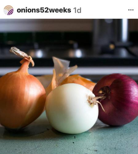 Instagram Onion Highlights-9