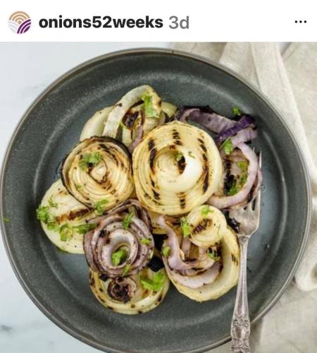 Instagram Onion Highlights-14