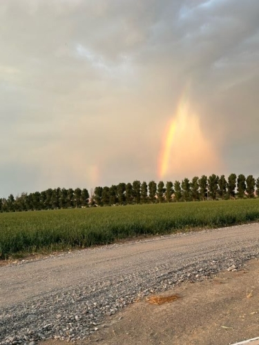 Zito Farms in Glenns Ferry, ID